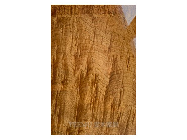 金(jīn)絲楠-高(gāo)光(guāng)YM808G